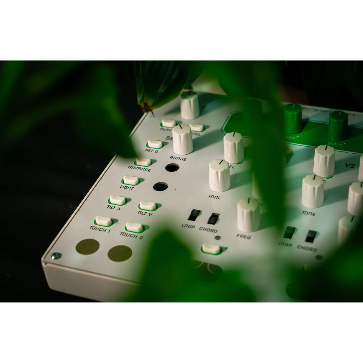 Close-up van de knoppen en messing touchpads van de HUM 2 met bladeren op de voorgrond